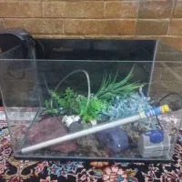 آکواریوم ماهیران و فیلتر سطلی