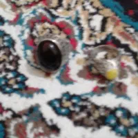 دو عدد انگشتر زینتی|بدلیجات|پرند, فاز ۶|دیوار