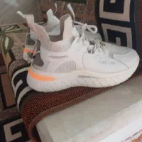 کفش در حدنو|کیف، کفش، کمربند|زنجان, |دیوار