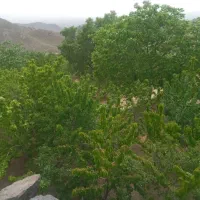 فروش  باغ رودگل قز|فروش خانه و ویلا|سبزوار, کراب|دیوار