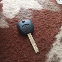 پیدا شده