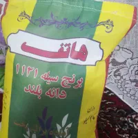 برنج پاکستانی هاتف دانه بلند ۱۱۲۱