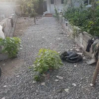 اجاره ی ویلا در حومه ی استانه اشرفیه (کشل)