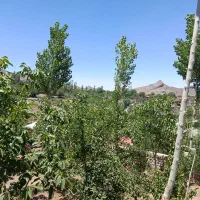 املاک-محمدی-روستای-وشنوه