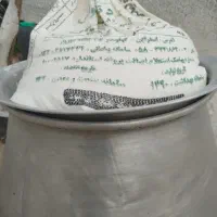 چوکلیگ گوسفندی