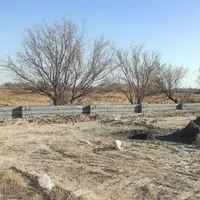 زمین چهاردیواری دریک مجموعه باغی اتوبان فرودگاه|فروش زمین و ملک کلنگی|اصفهان, قهجاورستان|دیوار