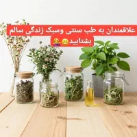 گیاهی|خدمات آموزشی|پیشوا, |دیوار
