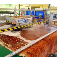 قالیشویی صدف خیابان فضیلت