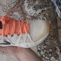 کفش استوک|کیف، کفش، کمربند|اسفراین, |دیوار