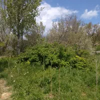 فروش یک باب خانه باغ واقع در روستای اغولبیک