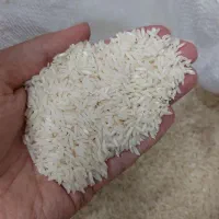 برنج هاشمی درجه یک سورتینگ شده|خوردنی و آشامیدنی|رشت, گلباغ نماز|دیوار