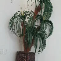 گل مصنوعی