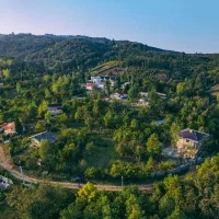 1000-زمین-مسکونی-روستای-جنگلی-چاخ