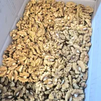 گردوو سوپر زیر قیمت