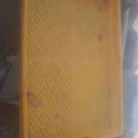 سبد میوه