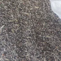 گاودانه