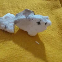 استخاره قرآن.|خدمات پذیرایی، مراسم|بم, |دیوار