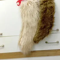 پالتو|لباس|تهران, امام زاده حسن|دیوار