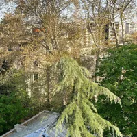 ۴۵متر ۱خواب کچویی