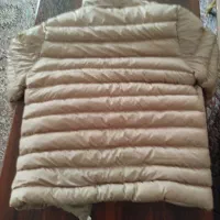 کاپشن|لباس|یزد, |دیوار