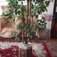 درختچه گیلاس|گل مصنوعی|زنجان, |دیوار