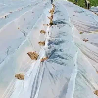 کاور کشاورزی و فوم|خدمات باغبانی و درختکاری|فیروزآباد (فارس), |دیوار