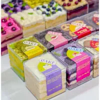 شاطر بربری ظرفشور