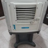 کولرابی