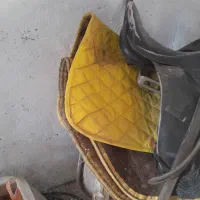 زین|اسب و تجهیزات اسب‌سواری|سبزوار, قصبه غربی|دیوار