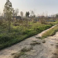 فروش زمین مسکونی معتبر(جنب هتل دارایی)متراژ دلخواه|فروش زمین و ملک کلنگی|رشت, شکار اسطلخ|دیوار