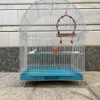 قفس  عروس هلندی