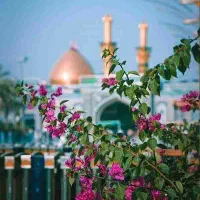 کاروان کربلا فوری