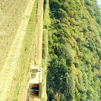 فروش زمین‌ باغی چسبیده به جاده اصلی ۷۰۰ متر