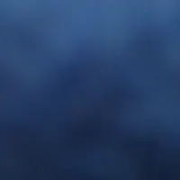 گواهینامه رانندگی به اسم علی احمدی