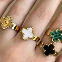 ونکلیف به قیمت عمده|بدلیجات|شیراز, شاه قلی بیگی|دیوار