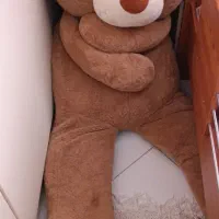 خرس شاسخین