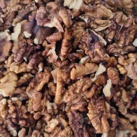 مغز گردو|خوردنی و آشامیدنی|بندر کنگان, |دیوار