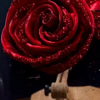 استخدام خانم خیاط ماهر جهت همکاری در مزون