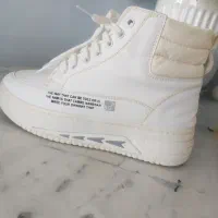 اسپرت ساقدار