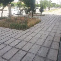 ۲۲۰متر کیانمهر مشارکت درساخت