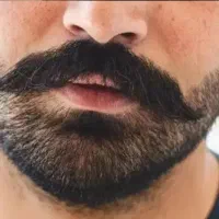 بلیط کنسرت ریشو ها ۲