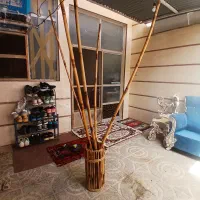 چوب بامبو