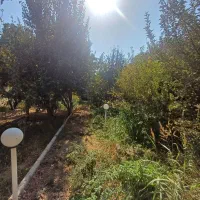 ۹۸۰متر/سندتک برگ/نامه جهاد/برق گازکنتر|فروش خانه و ویلا|تهران, یافت آباد جنوبی|دیوار