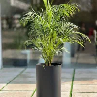 گلدان استوانه پلیمری مهرنی