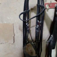 زین و تجهیزات جانبی استفاده نشده اکبند|اسب و تجهیزات اسبسواری|گلپایگان, |دیوار