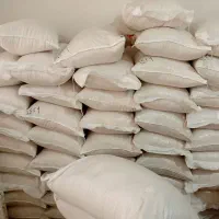 برنج فجر سوزنی در جه یک|عمده‌فروشی|کردکوی, |دیوار