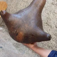 هیزه گوسفندی.سبزی خورشتیی و...