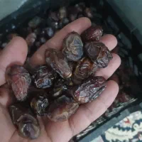 خرمابریم زاهدی وغیره