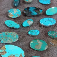 فیروزه عددی نیشابوری