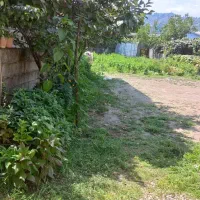 سوییت|اجارهٔ کوتاهمدت آپارتمان و سوئیت|حویق, |دیوار